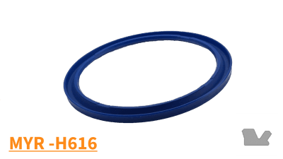 MYR616